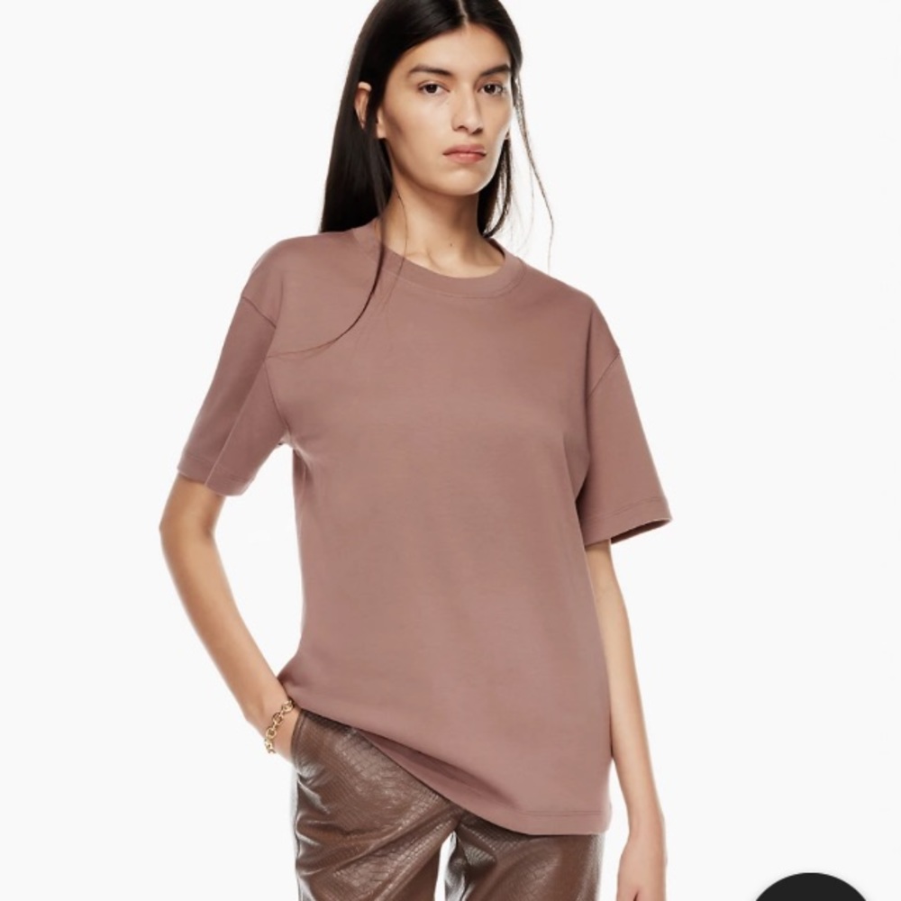 Aritzia t-shirt